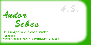 andor sebes business card